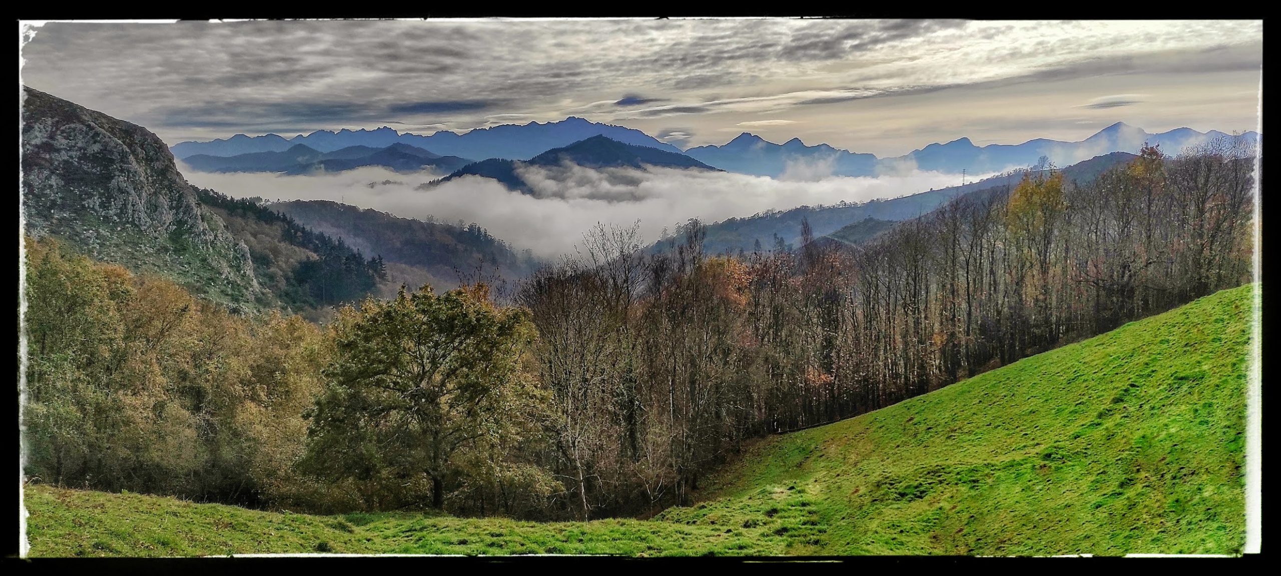 En este momento estás viendo El otoño y la niebla