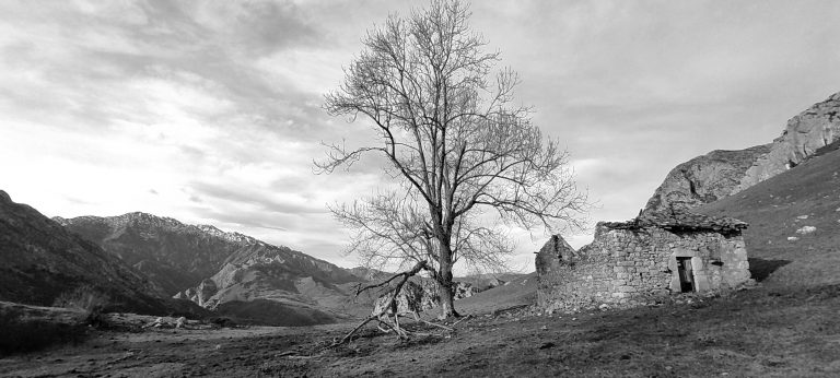 Lee más sobre el artículo Invernales de Nava en Cabrales
