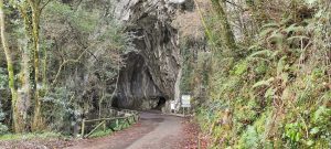 Lee más sobre el artículo La «Cuevona» en Ribadesella
