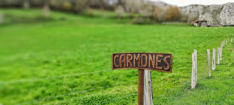Lee más sobre el artículo Llegando a Carmones