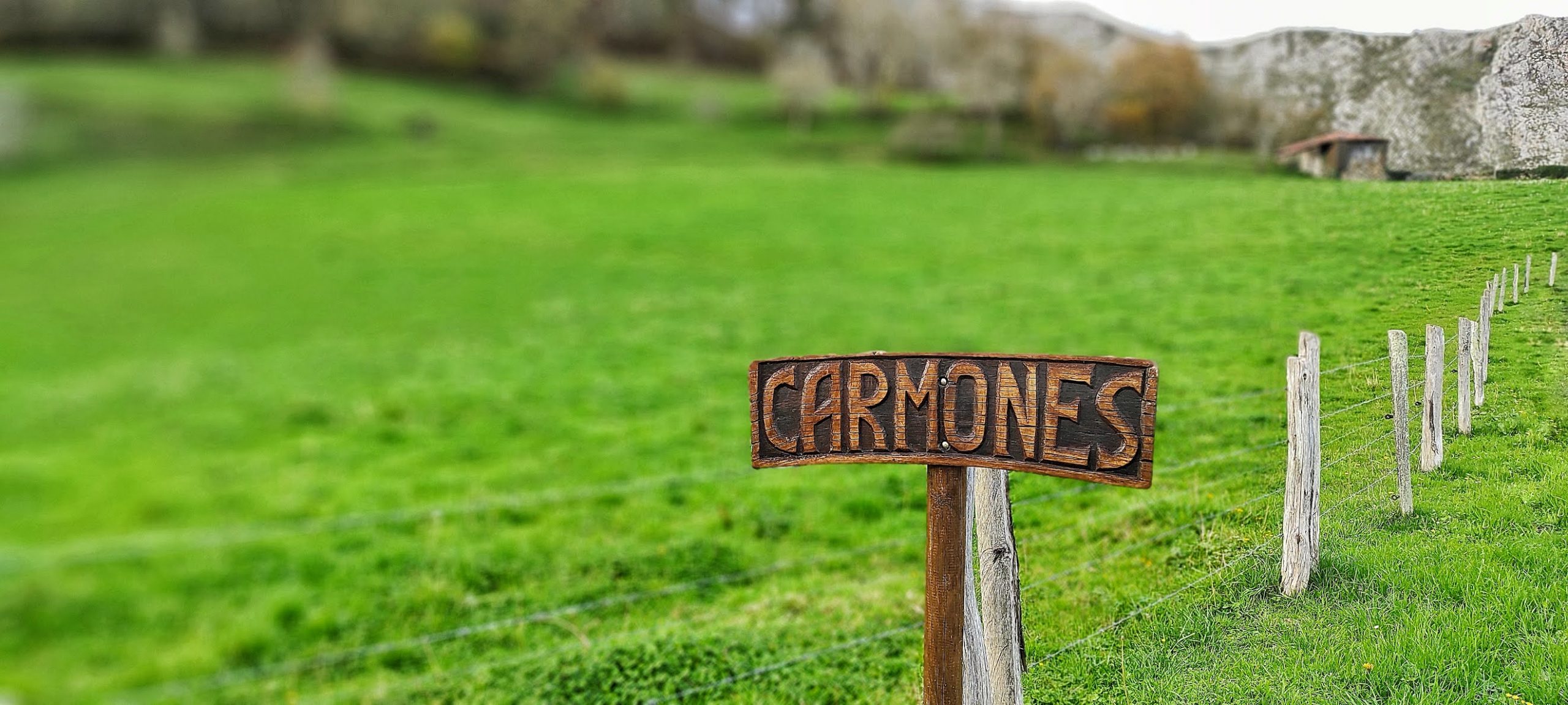 En este momento estás viendo Llegando a Carmones