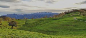 Read more about the article Los Picos desde Carmones