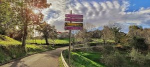 Lee más sobre el artículo Paseando por el concejo de Ribadesella