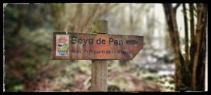 Lee más sobre el artículo Por la ruta del «Beyu de Pen»