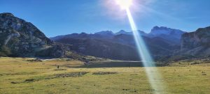Lee más sobre el artículo El Lago «Ercina»