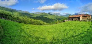 Lee más sobre el artículo Más verde imposible…
