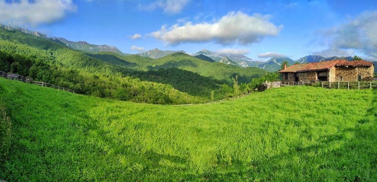 Lee más sobre el artículo Más verde imposible…