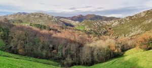Lee más sobre el artículo Reserva natural de «Cova Rosa»