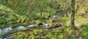 Lee más sobre el artículo Camino de la cascada del Cioyo