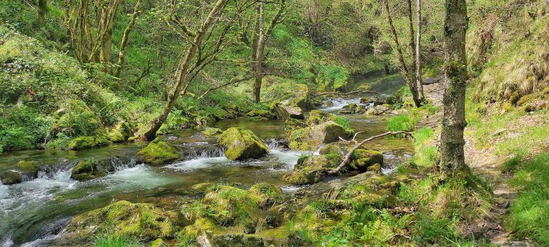 Lee más sobre el artículo Camino de la cascada del Cioyo