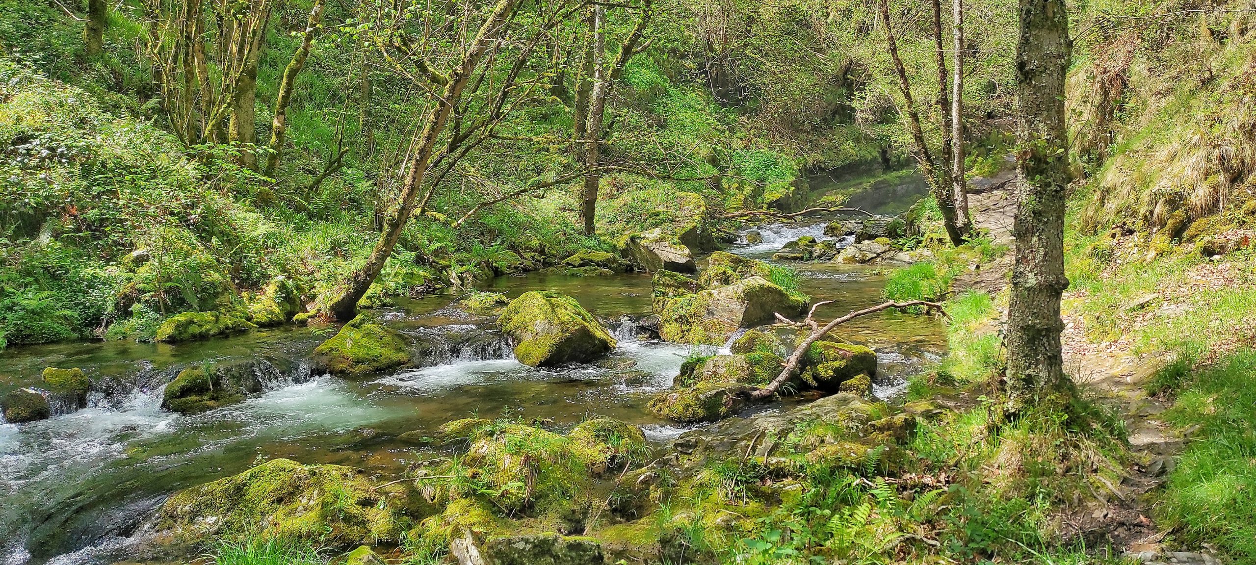 En este momento estás viendo Camino de la cascada del Cioyo
