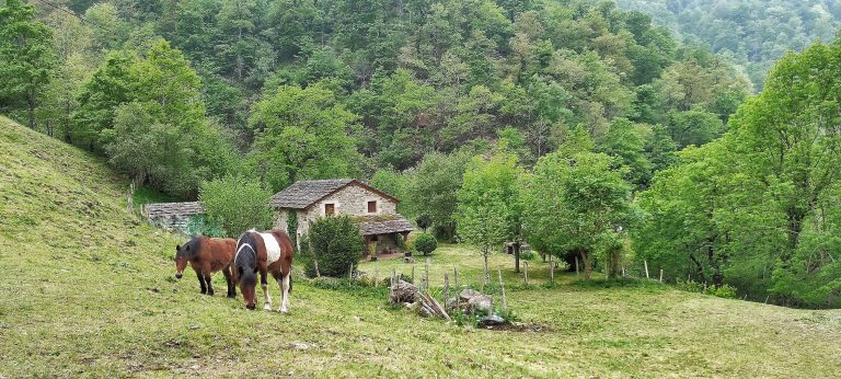 Lee más sobre el artículo Valle del Pas (Cantabria)