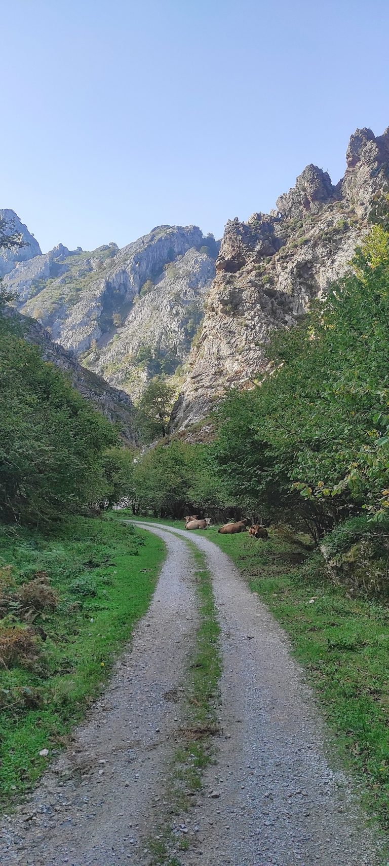 Lee más sobre el artículo Caminando por la Foz del riu Raigosu