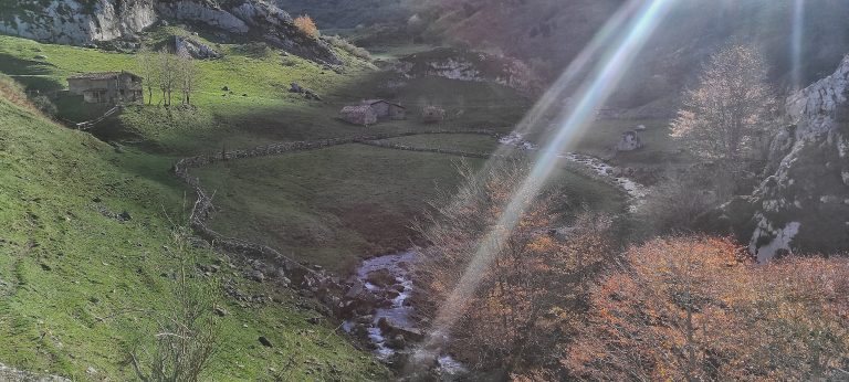 Lee más sobre el artículo El Fielato en San Isidro
