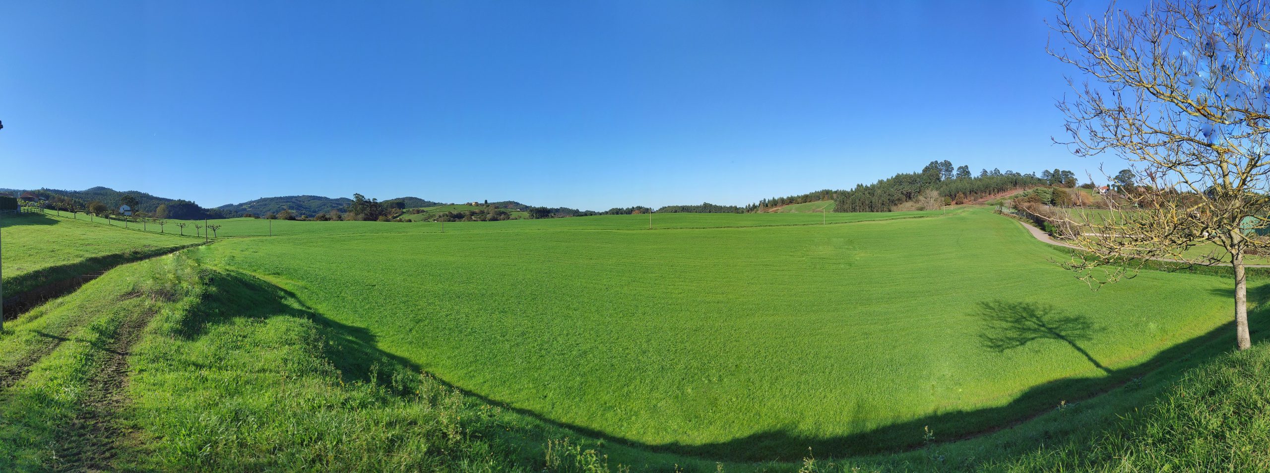 En este momento estás viendo Asturias verde!!