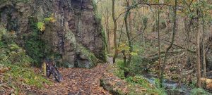 Lee más sobre el artículo Garganta del Escañoriu