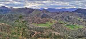 Lee más sobre el artículo Miyar rodeado de montes y bosques
