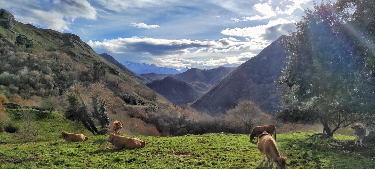 Lee más sobre el artículo Último día de otoño en Villa