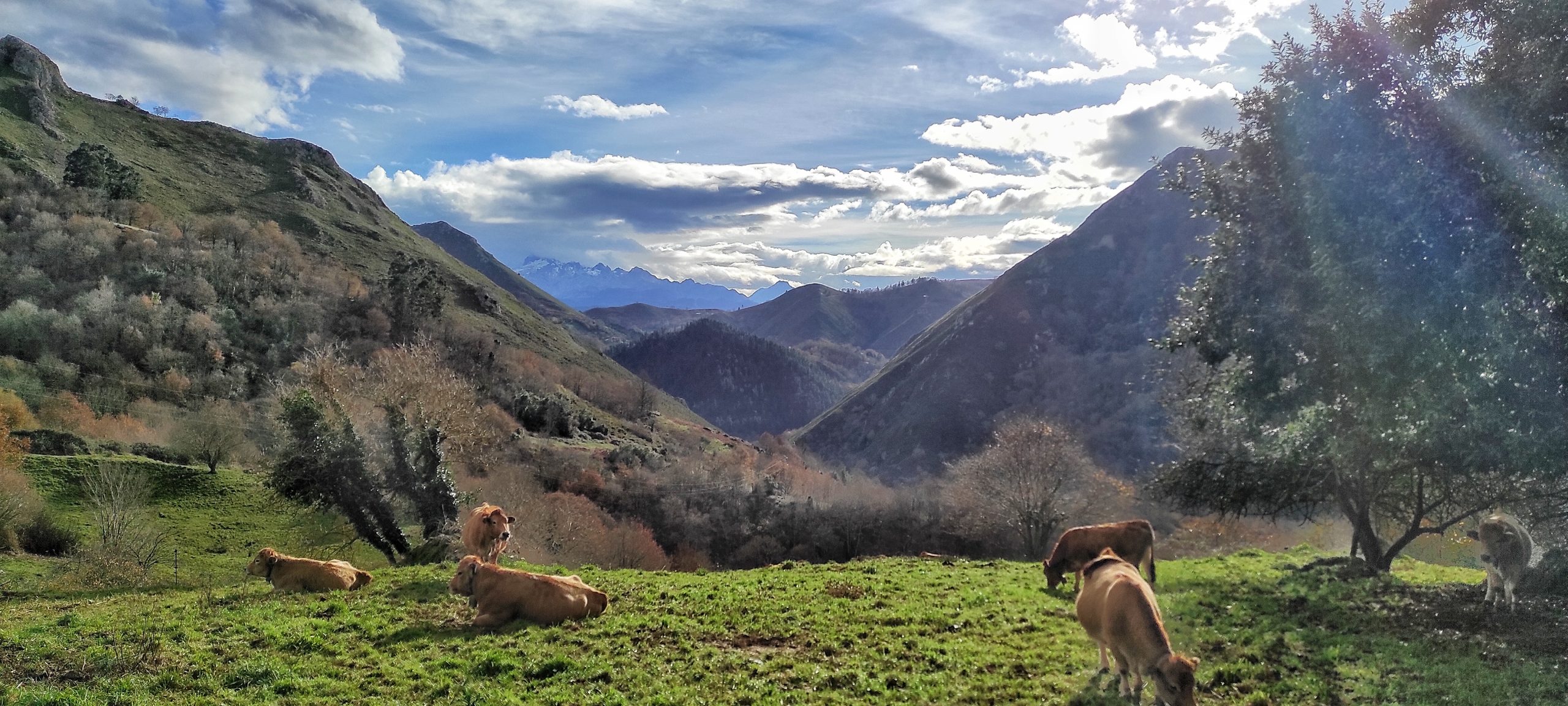 En este momento estás viendo Último día de otoño en Villa